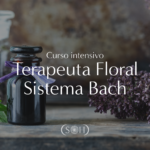 Curso intensivo Terapeuta Floral Sistema Bach