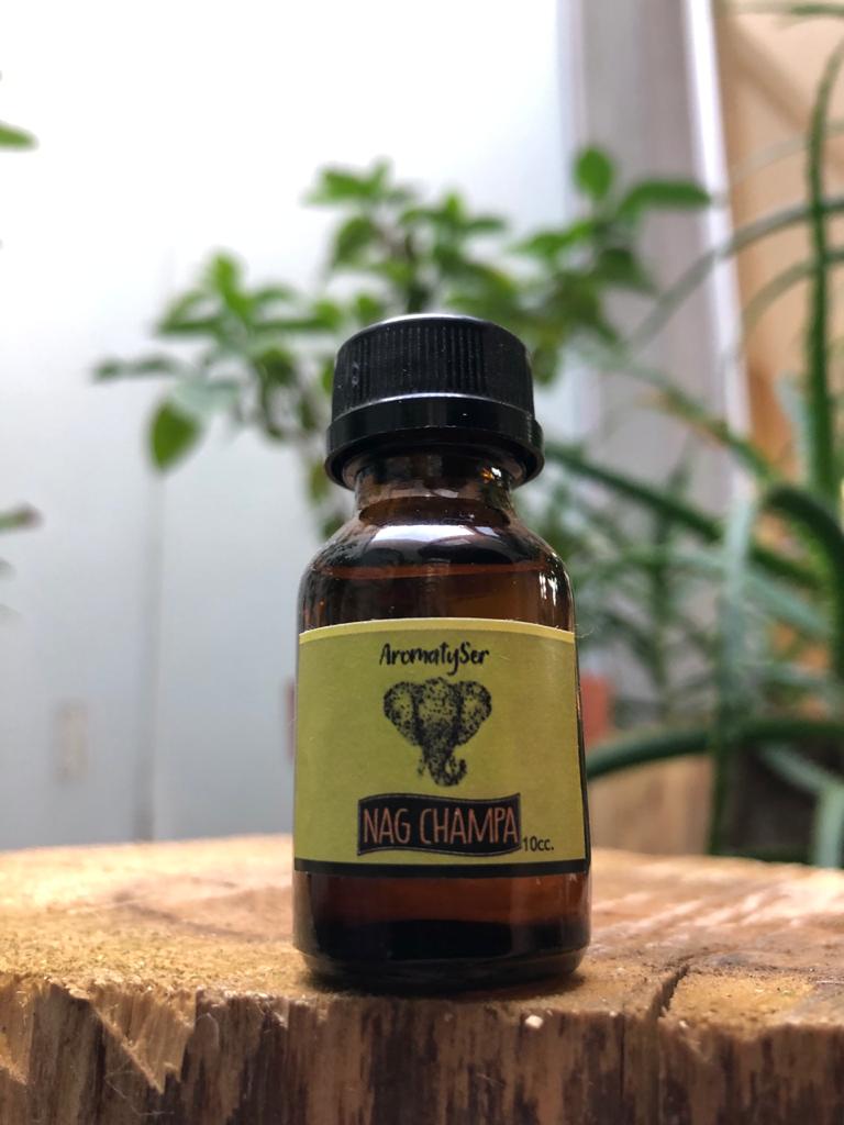 554586bb-33e5-4970-a980-6a17a55dc8dd Esencia hornillo - Imagen 1