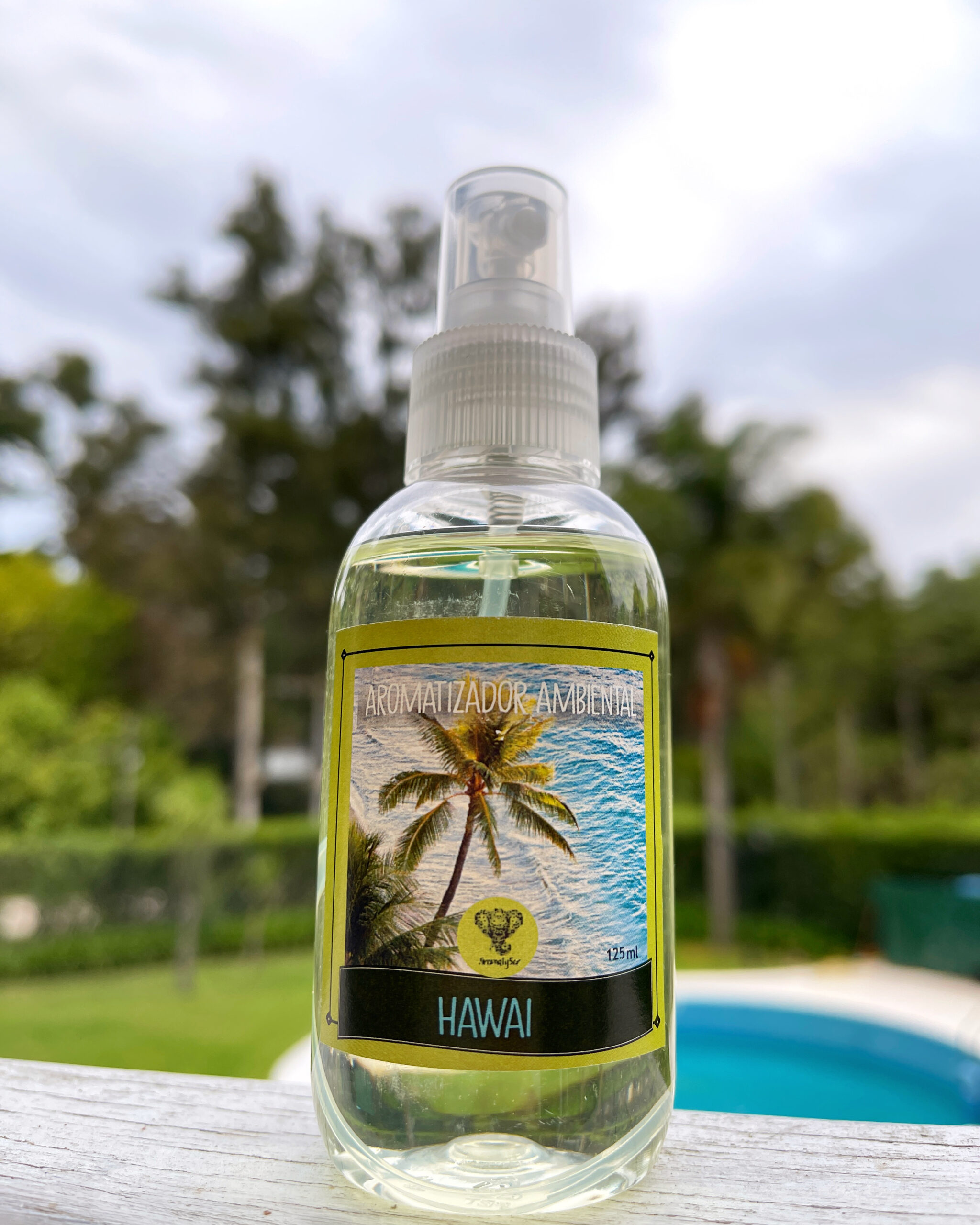 92479319-FDD6-4A3C-BB4A-523D08B2E0E9 Aromatizador 125ml. - Imagen 1