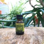 Aceite esencial Alcanfor