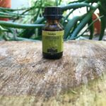 Aceite esencial Eucalipto