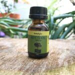 Aceite esencial Pino